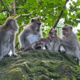 Family-Friendly Bali and Singapore 7 Days Itinerary