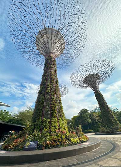 Golden Garden was free to view along the route to the Gardens by the Bay ticket office