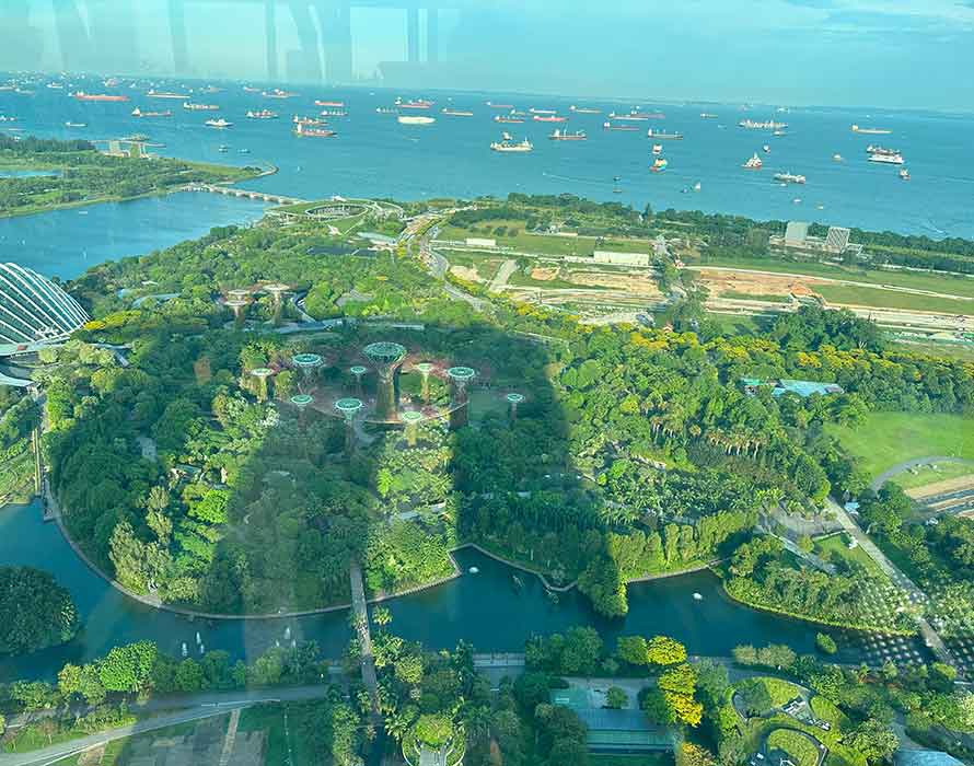 View from the Marina Bay Sands of Gardens by the Bay and the marina reservoir