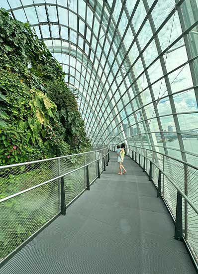 Top level of the Cloud Forest exhibit at the Gardens by the Bay during the misting