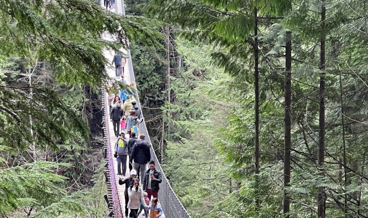 Visit the Capilano Suspension Bridge Park in Vancouver, B.C.