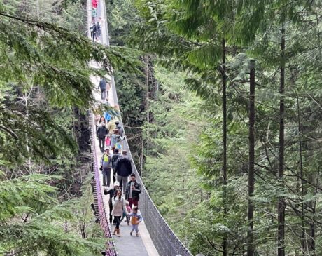 Visit the Capilano Suspension Bridge Park in Vancouver, B.C.