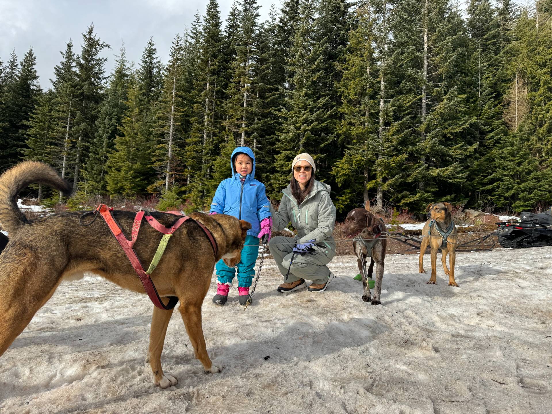 Loved all the time we got to spend with the dogs before, during breaks and after dogsledding.