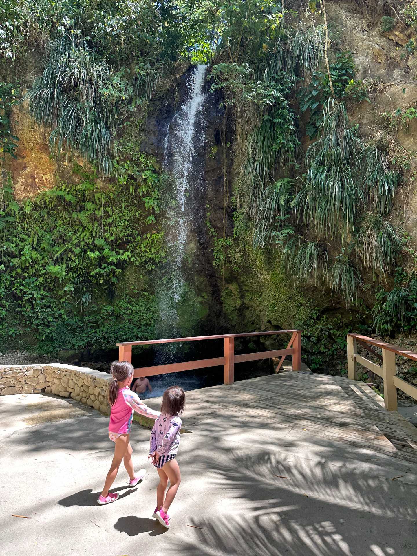 We docked in Soufriere and were immediately taken into a van to visit the Toraille Waterfall. It was a quick drive there and a very short walk to the actual waterfall (no hiking required)-3