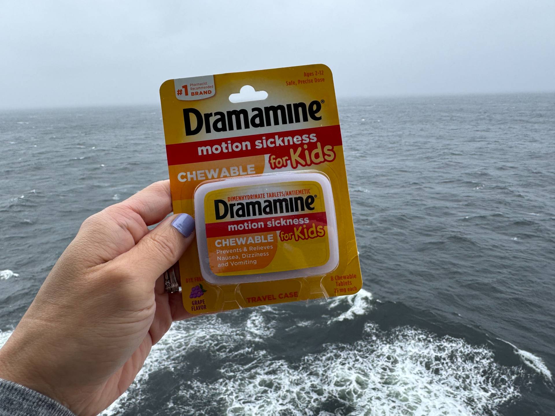 I came on the cruise prepared with remedies knowing me and my older daughter get motion sickness. Less drowsy Dramamine for me and Dramamine Kids for her. I also tried the Sea Band Nausea Relief Acupressure Bands since the start of the trip but I don't think they really helped me. Motioneaze topical oil (kid-friendly), I tried on the plane ride to Vancouver and on the cruise and both times they didn't really help. Sadly, none of these helped me feel better.