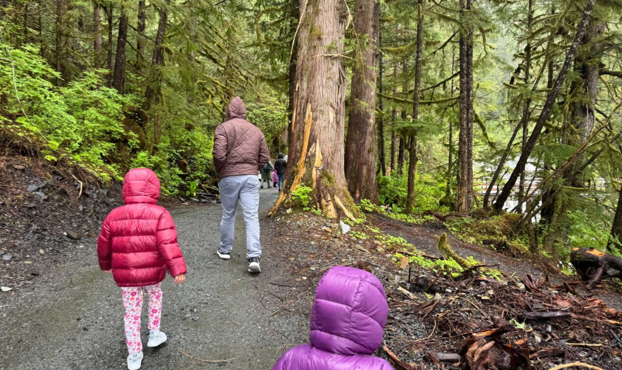 While in Ketchikan, you would need a car or bus to get to Beaver Falls and the George Inlet Cannery nearby. After parking it was a few minutes walk to the bridge where you can see Beaver Falls