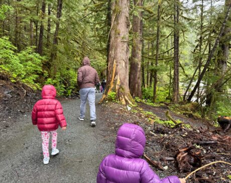 While in Ketchikan, you would need a car or bus to get to Beaver Falls and the George Inlet Cannery nearby. After parking it was a few minutes walk to the bridge where you can see Beaver Falls