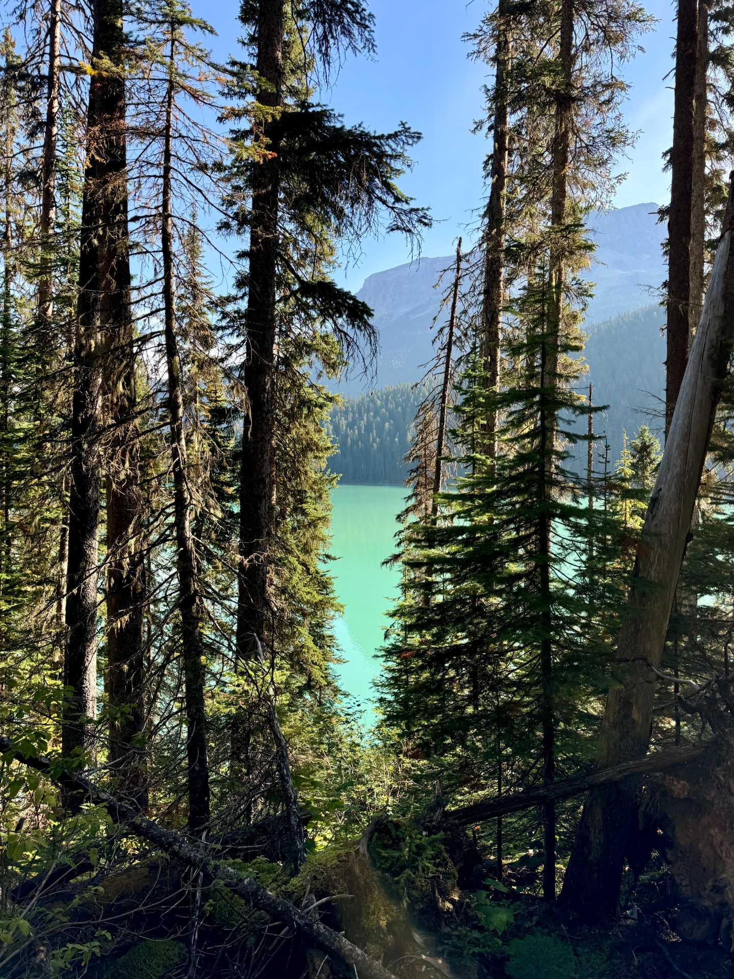 Emerald Lake's vibrant colors are best seen from the shoreline. The far side of Emerald Lake provides a quieter, more secluded experience. While the initial part of the trail is forested, the views open up and offer a perfect spot for nature lovers seeking solitude-2