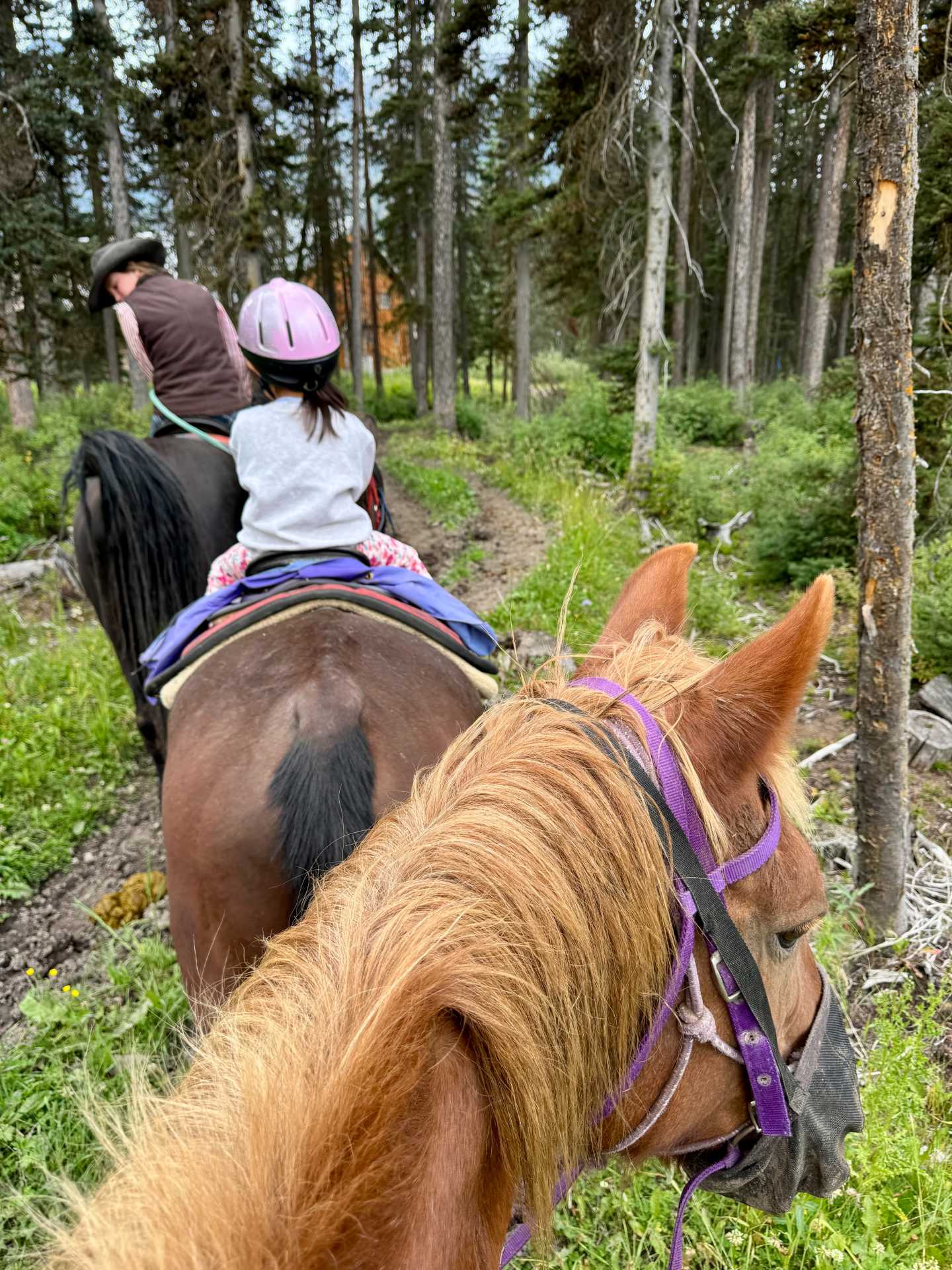 Timberline Tours offers kid-friendly horseback riding, making it easy for even the youngest adventurers to enjoy the beauty of Banff National Park-2