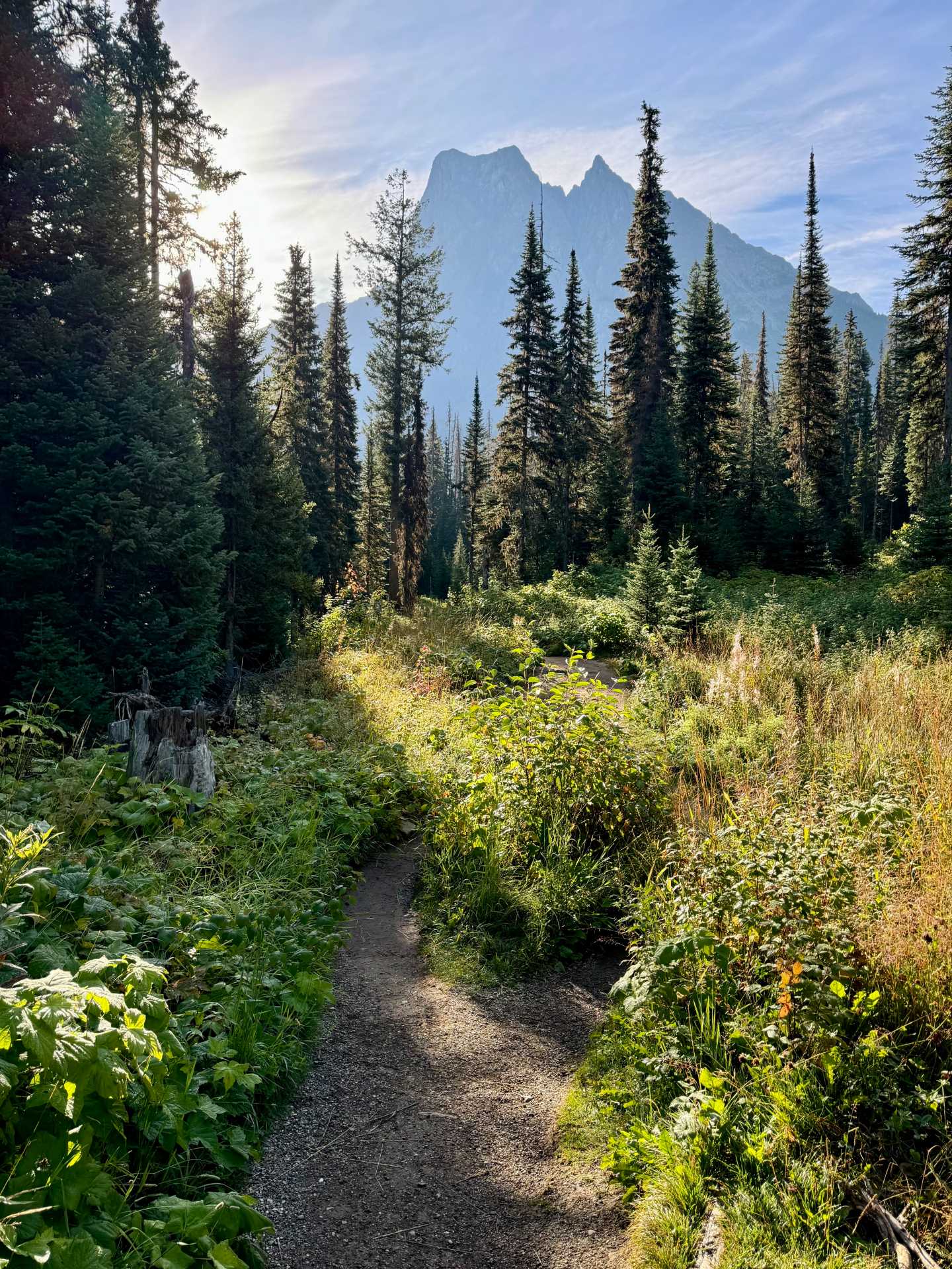 Emerald Lake's vibrant colors are best seen from the shoreline. The far side of Emerald Lake provides a quieter, more secluded experience. While the initial part of the trail is forested, the views open up and offer a perfect spot for nature lovers seeking solitude-3