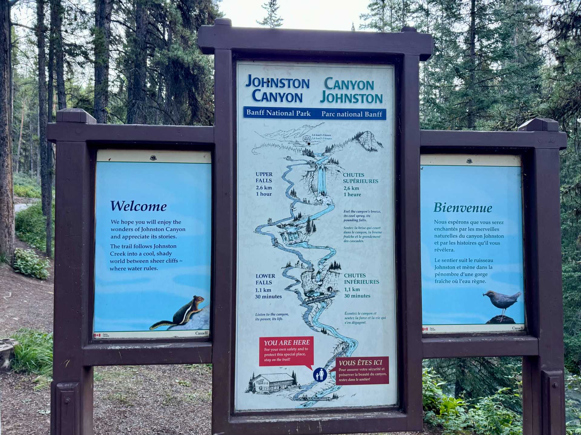 Johnston Canyon’s Lower Falls trail is just 0.5 miles and perfect for kids. The Upper Falls, while a bit longer at 1.5 miles, is still very doable for families. For those up for more adventure, the Ink Pots can also be accessed from Johnston Canyon, but it’s a much longer hike.