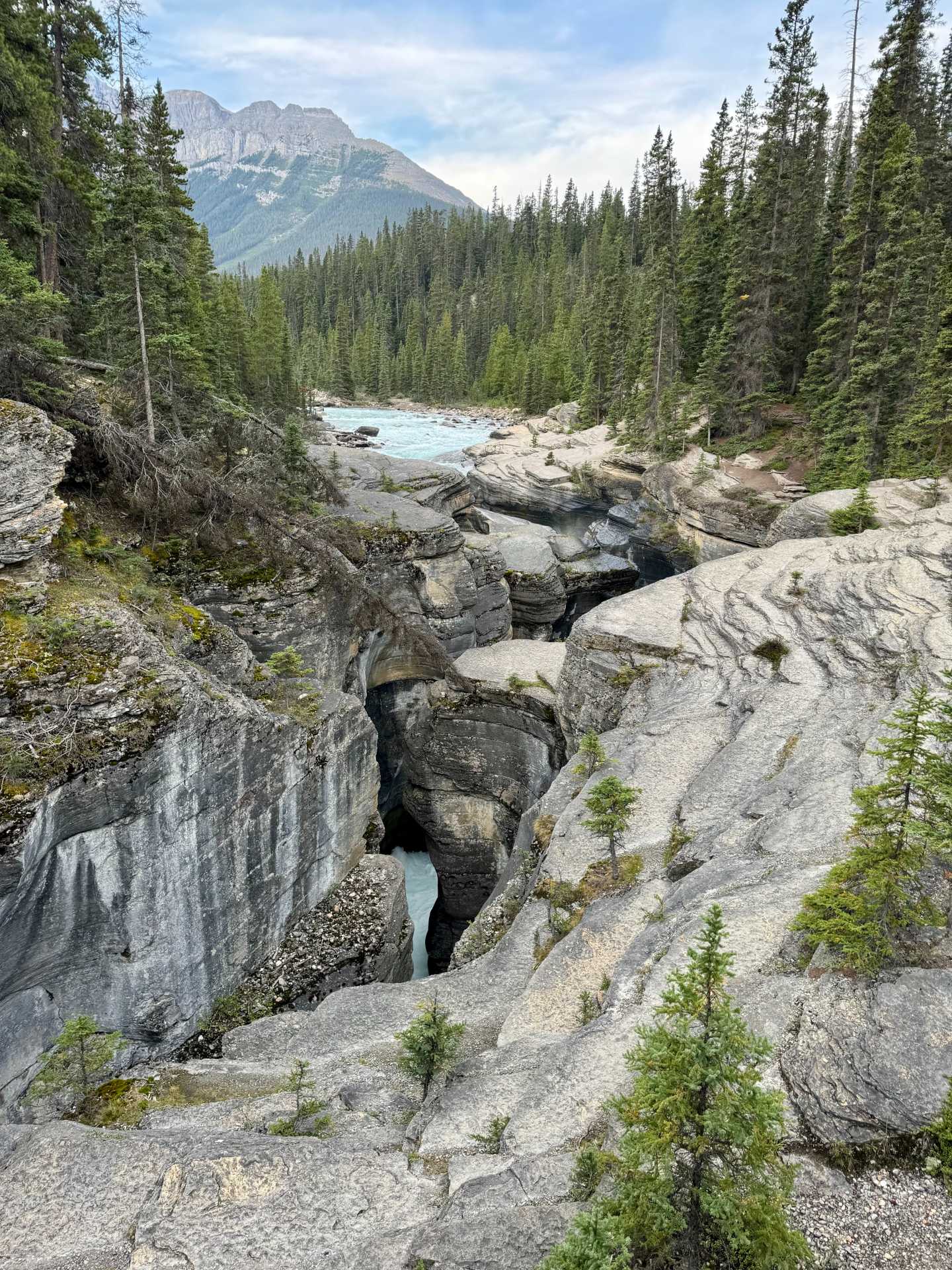 The Mistaya Canyon Trailhead is easy to miss but well worth the stop! Located right off the Icefields Parkway, the trail is just 1 km (0.6 miles) roundtrip. It's a short walk through the forest that leads to one of the most dramatic river-carved canyons in Banff National Park. Ideal for families or those short on time-3