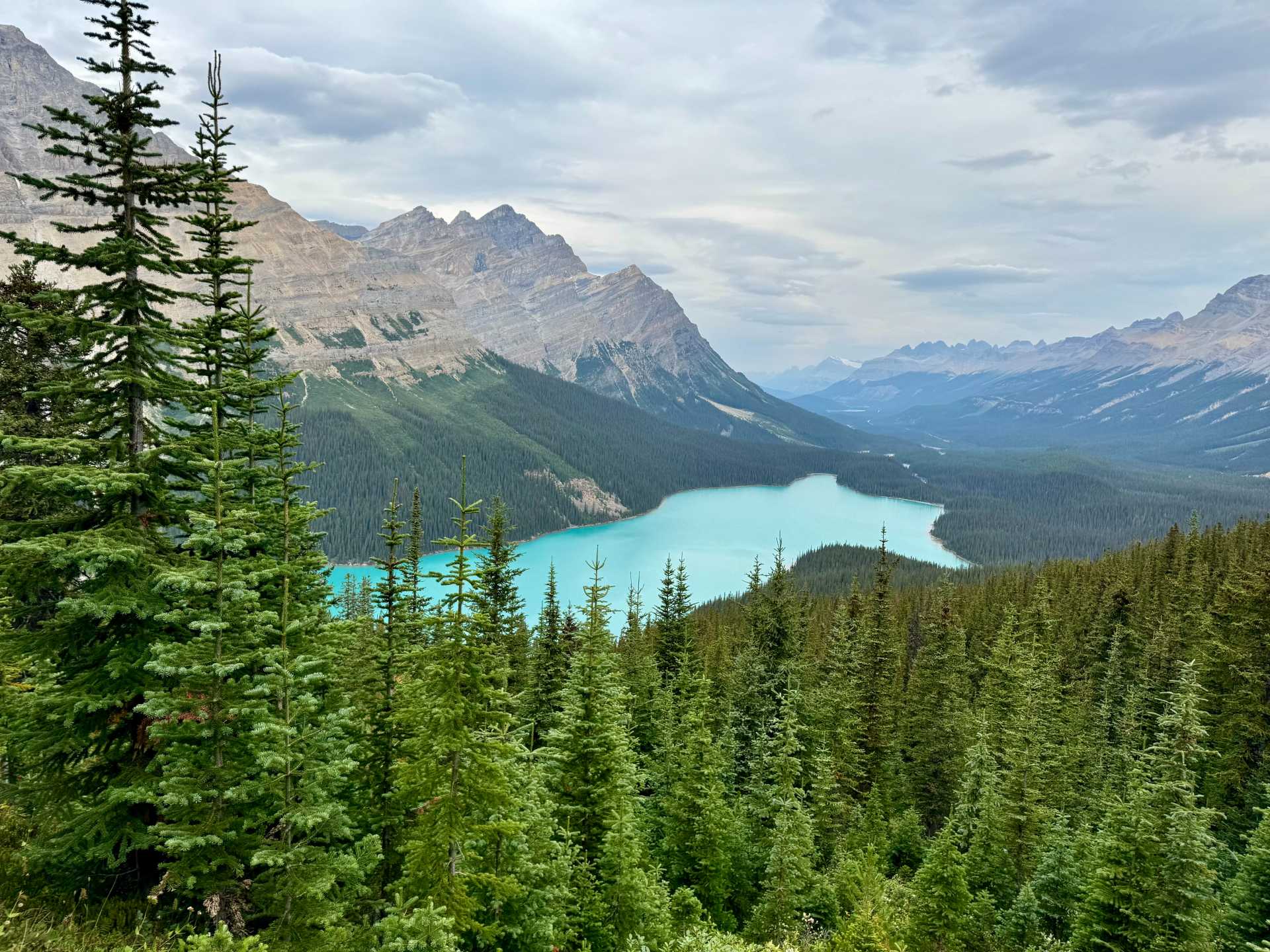 Views of Peyto Lake while walking on the secret second viewpoint trail.