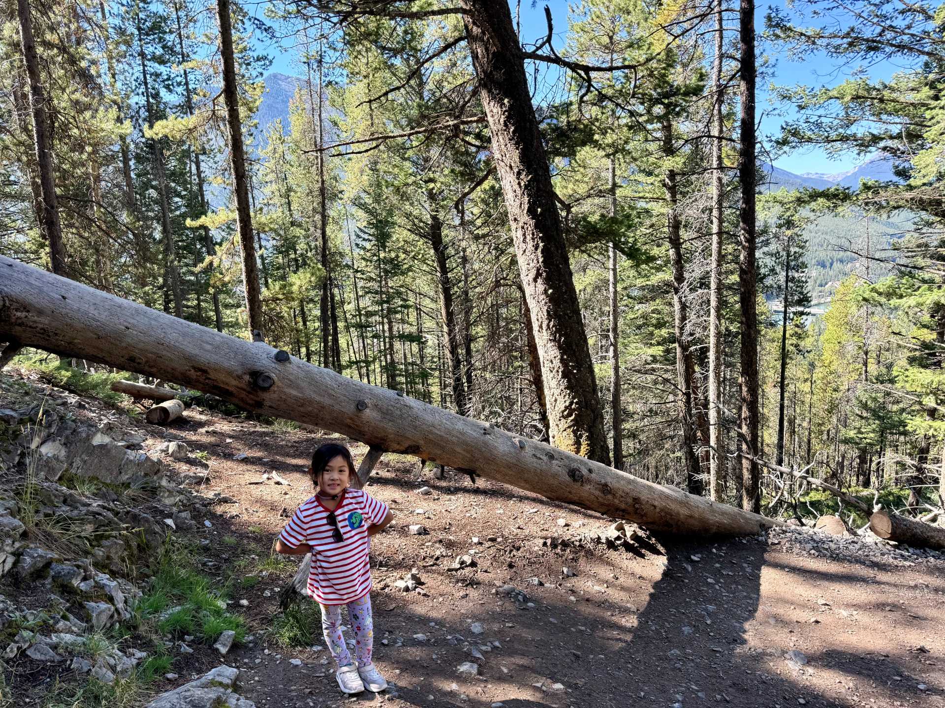 Along the Tunnel Mountain hike you'll see aerial views of the majestic Fairmont Banff Springs and fun terrain for the kids.