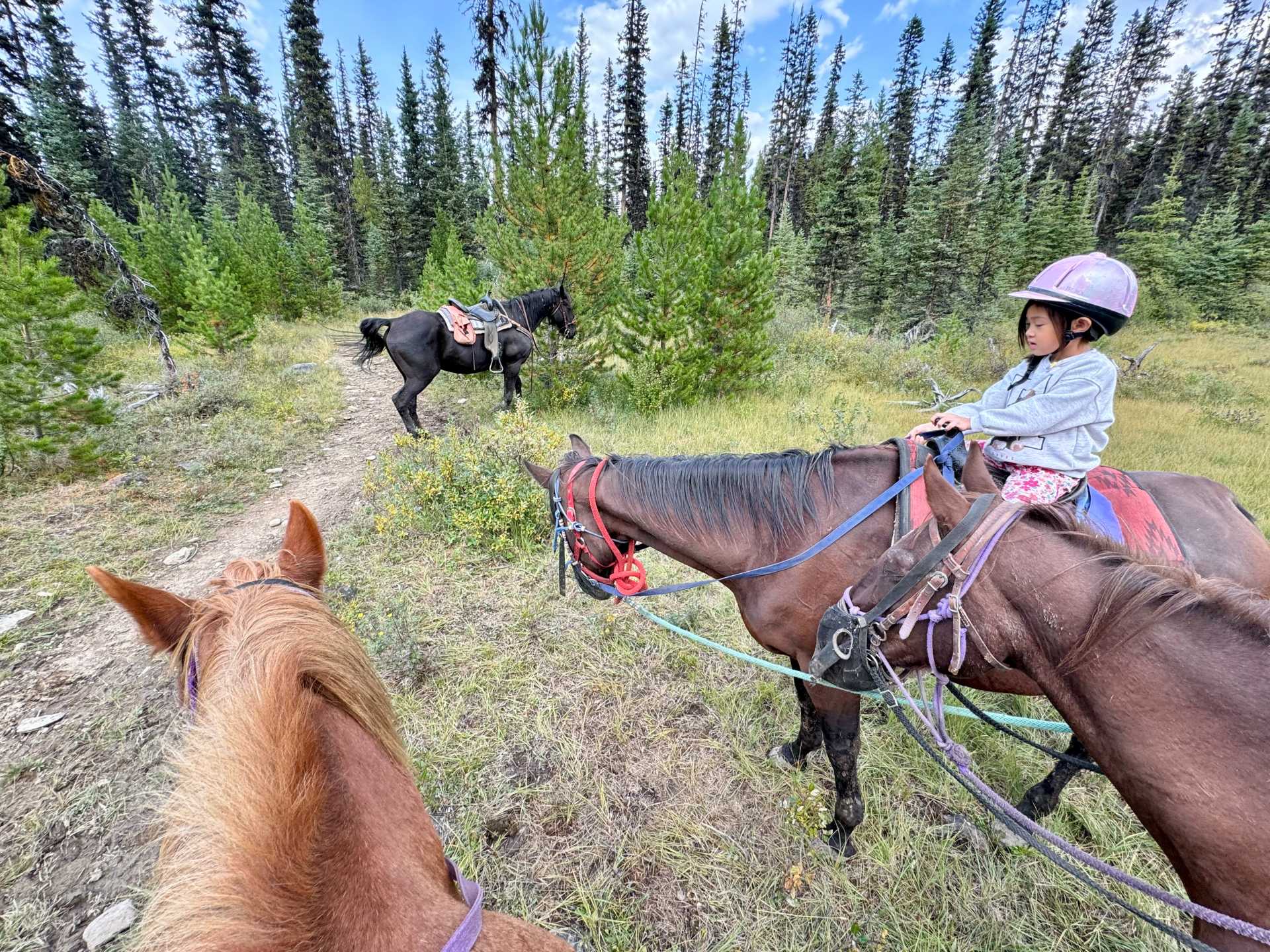 For a scenic ride without the hike, the 45-minute Peyto Trail loop gave us incredible views of the mountains, plus a memorable journey along the Continental Divide-1