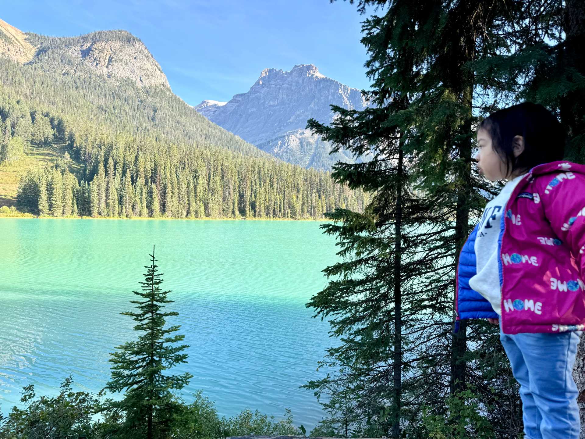 A perfect family-friendly stop. The flat lakeside trail, picnic spots, and gentle shoreline make Emerald Lake an ideal destination for families with young children-3