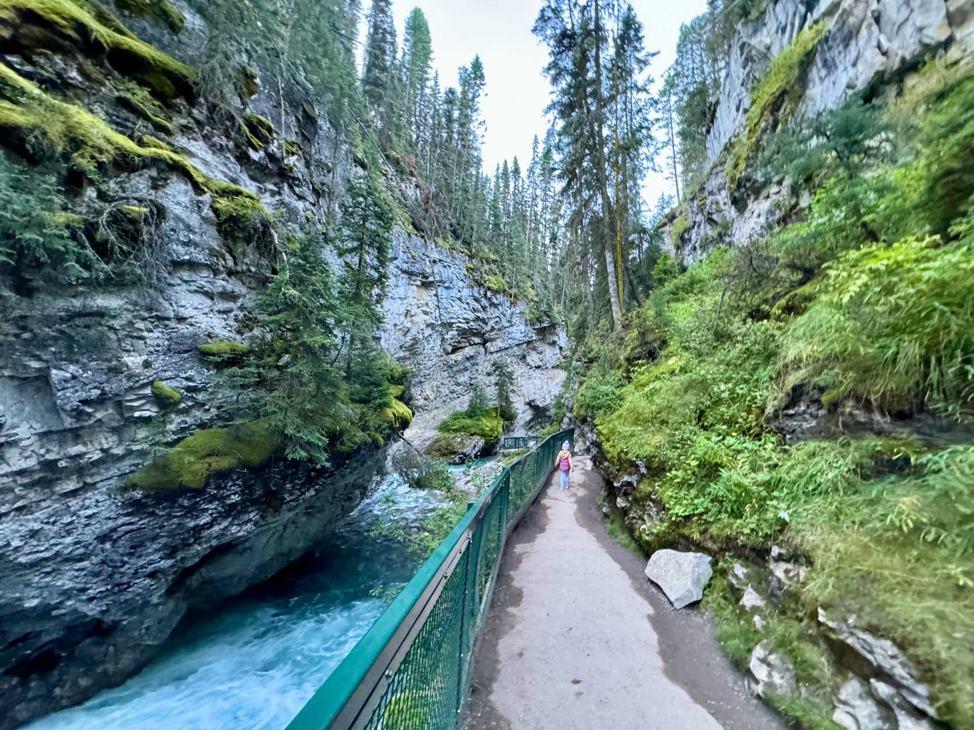 Johnston Canyon’s Lower Falls trail is an easy, family-friendly hike that takes you through the scenic canyon to a waterfall. Lake Louise’s iconic turquoise lake offers incredible views lakeside, by hike or by canoe. Capture your family’s unforgettable moments with a professional photoshoot. The stunning backdrop of Lake Louise and the mountains makes for picture-perfect memories taken by Banff Photography-1