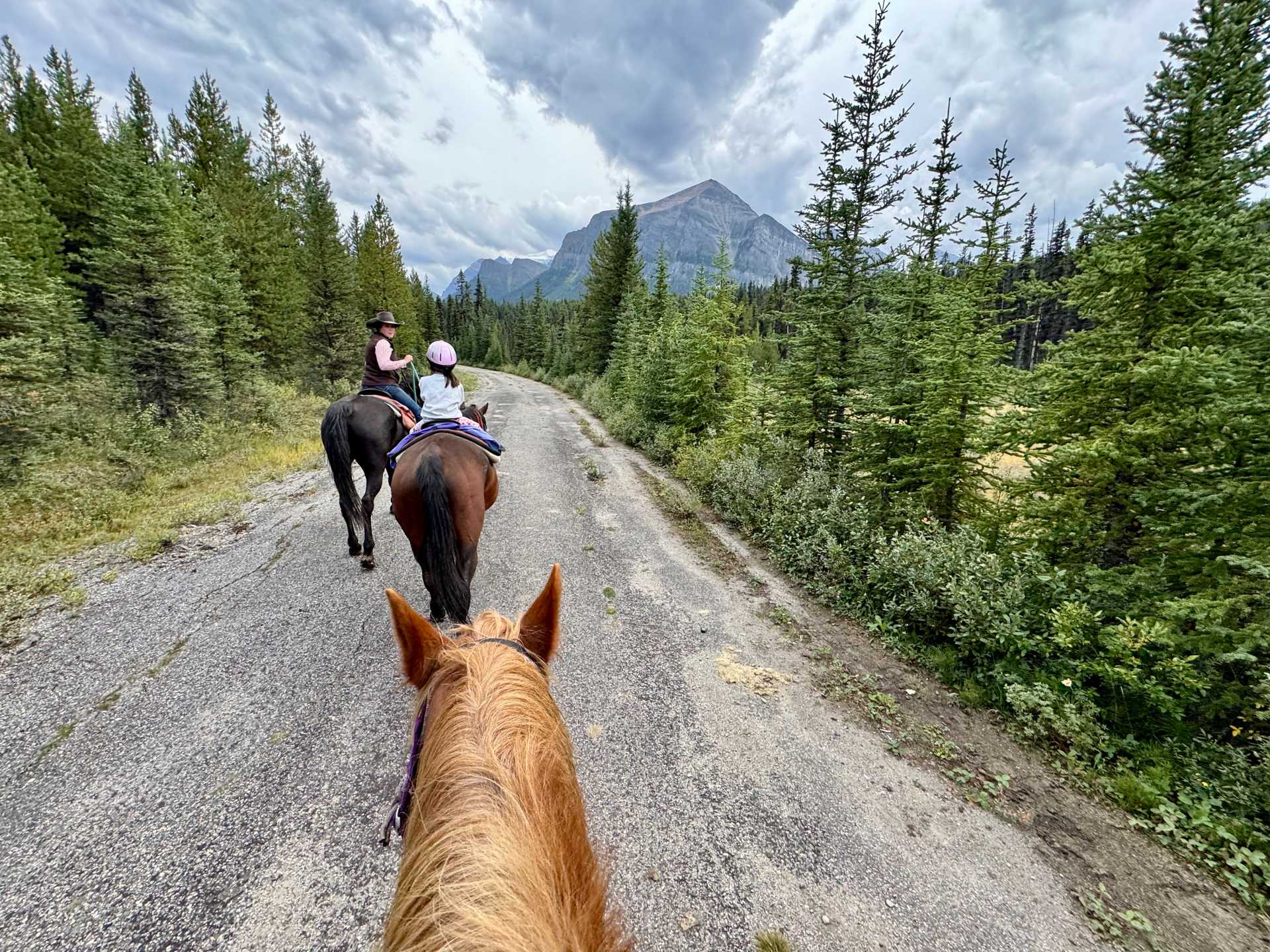 For a scenic ride without the hike, the 45-minute Peyto Trail loop gave us incredible views of the mountains, plus a memorable journey along the Continental Divide-2