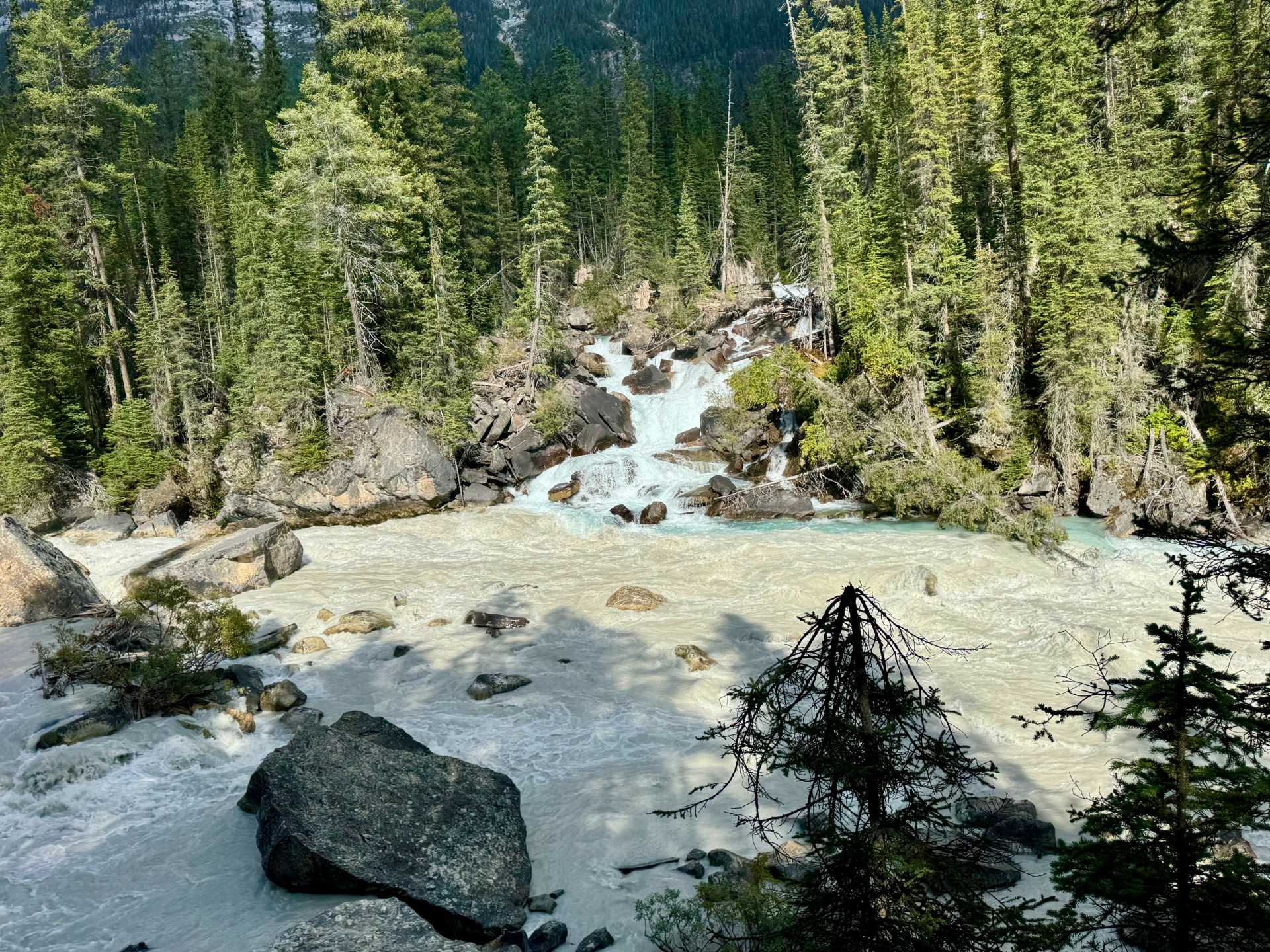 The Meeting of the Waters: Where Yoho River and Kicking Horse River converge! This hidden gem is a must-see stop on your way back from Takakkaw Falls. Tip: Pull over and take a quick walk to see the contrast of the two merging rivers—it's a peaceful, scenic spot.