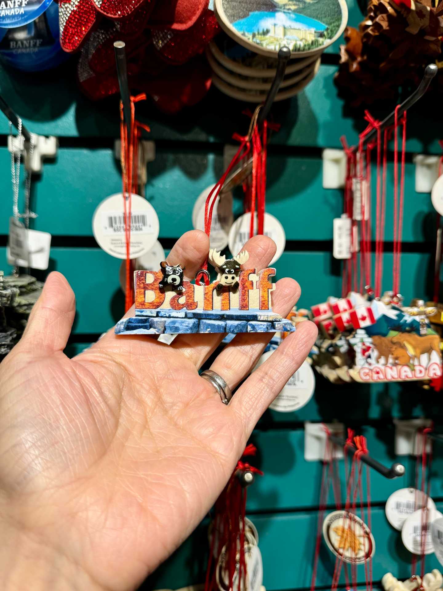 We could have spent hours exploring The Spirit of Christmas store! Here are a few of the ornaments that really caught our eye-1