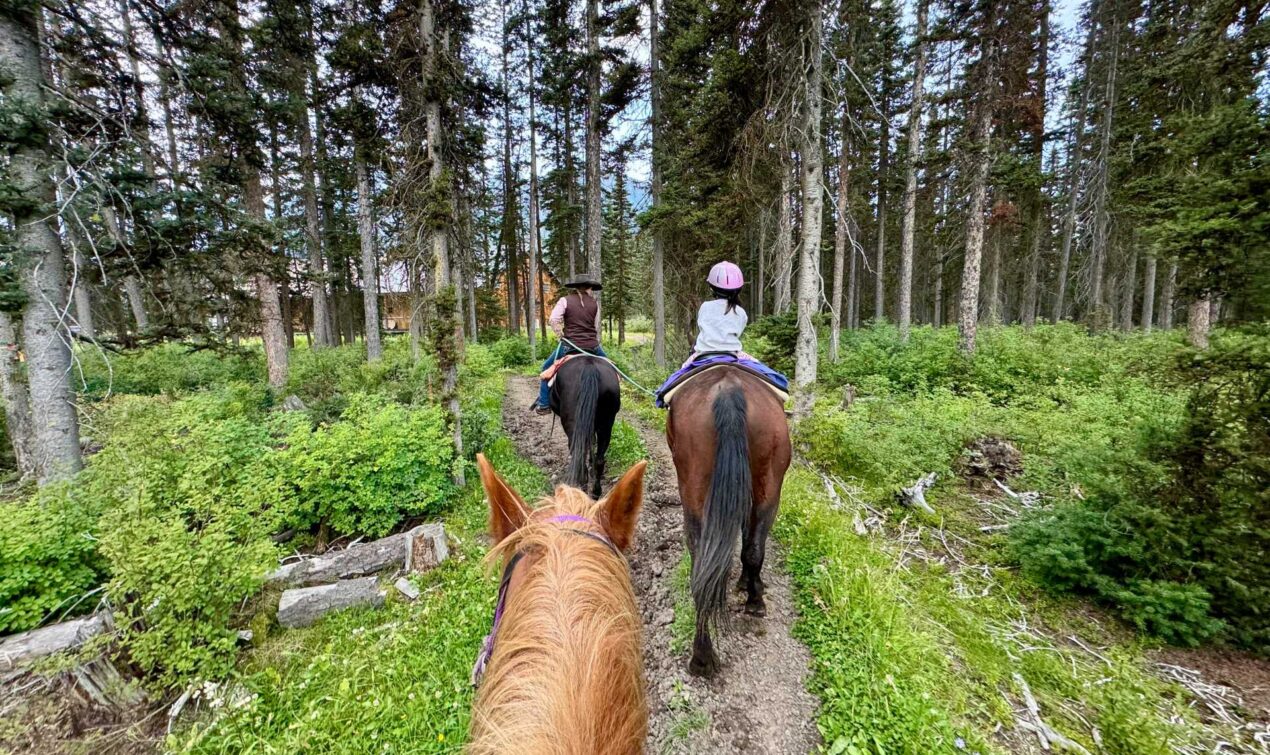 For families staying at the Fairmont Chateau Lake Louise, Timberline Tours is an easy, accessible activity that lets you experience Banff from a new perspective.