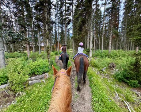 For families staying at the Fairmont Chateau Lake Louise, Timberline Tours is an easy, accessible activity that lets you experience Banff from a new perspective.