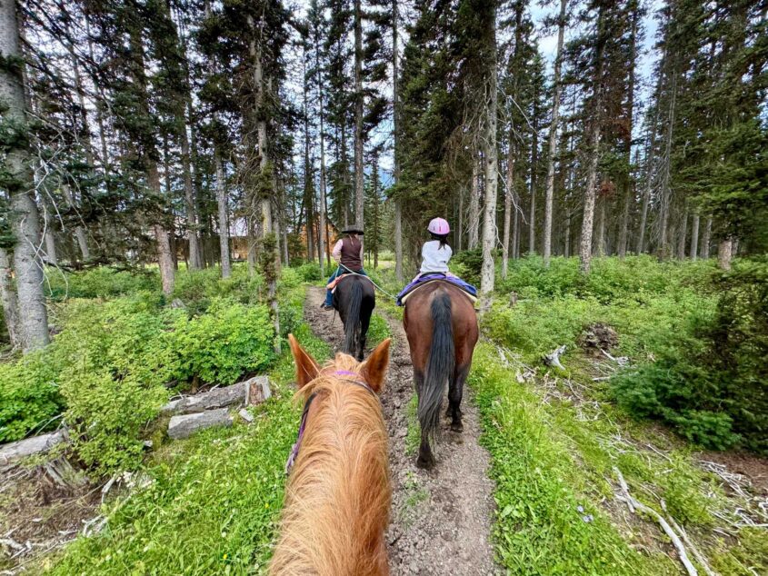 Horseback Riding in Banff: A Must-Do Adventure with Timberline Tours