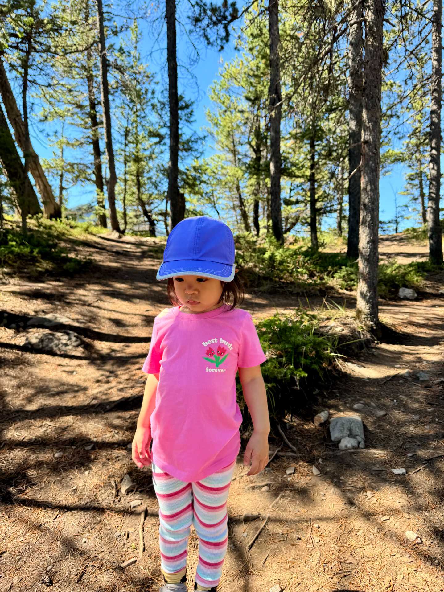 The Osprey Poco carrier backpack was so helpful to have on the longer hikes, even our older more petite daughter had her turn in the carrier when she was tired. The WAYB Pico car seats we always bring along for easy and efficient travel. Hats and beanies are also very helpful to have on hikes especially with the possibility of quick change in weather-3