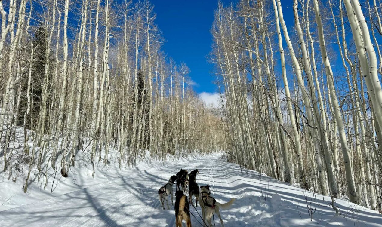 Best Family-Friendly Winter Activities in Telluride, Colorado