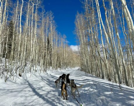 Best Family-Friendly Winter Activities in Telluride, Colorado