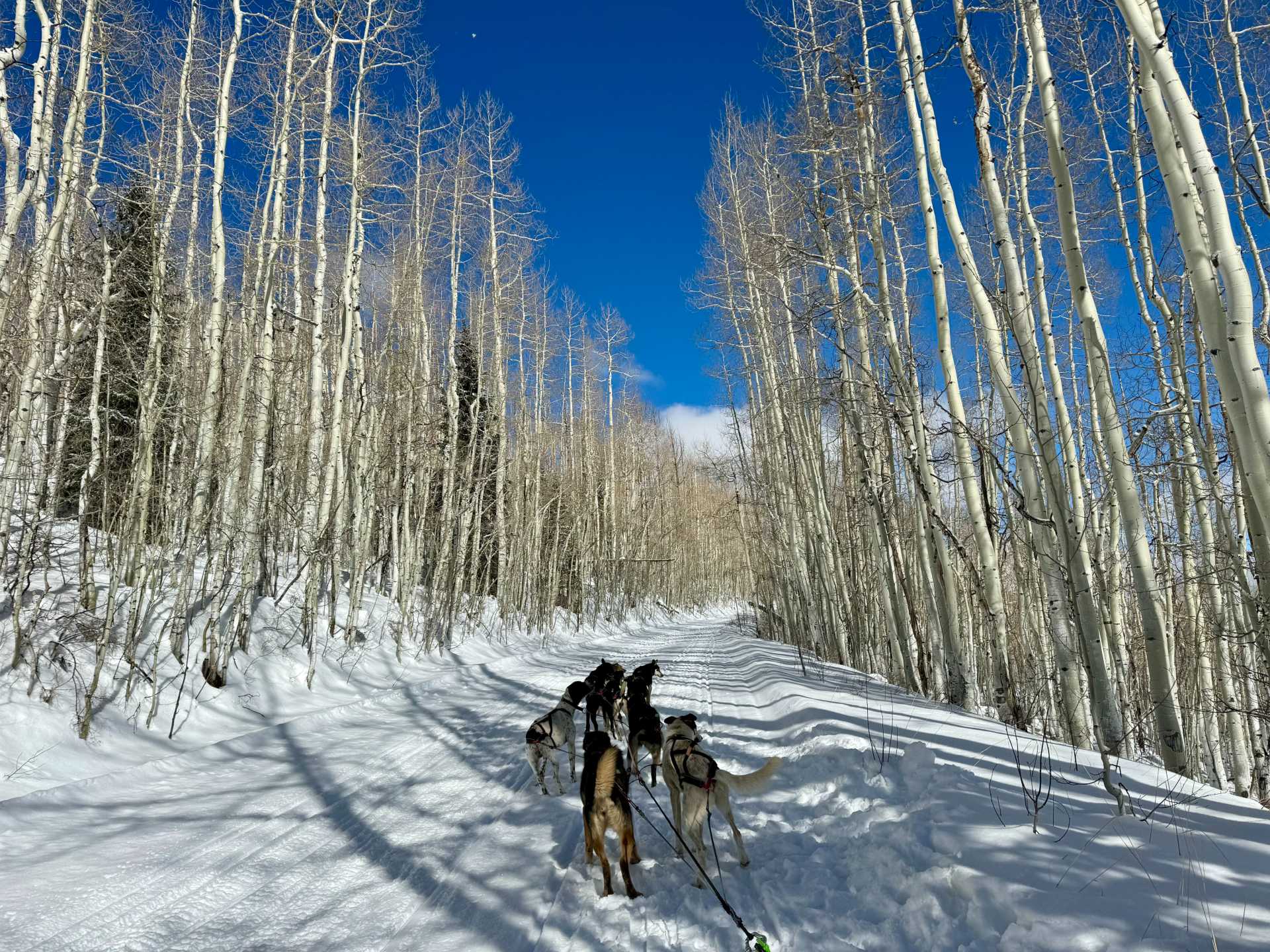 Best Family-Friendly Winter Activities in Telluride, Colorado