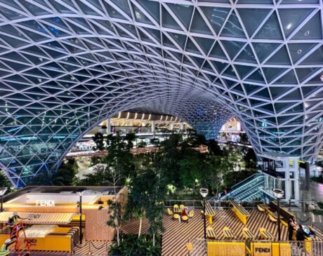 View from the Al Mourjan Garden Business Lounge