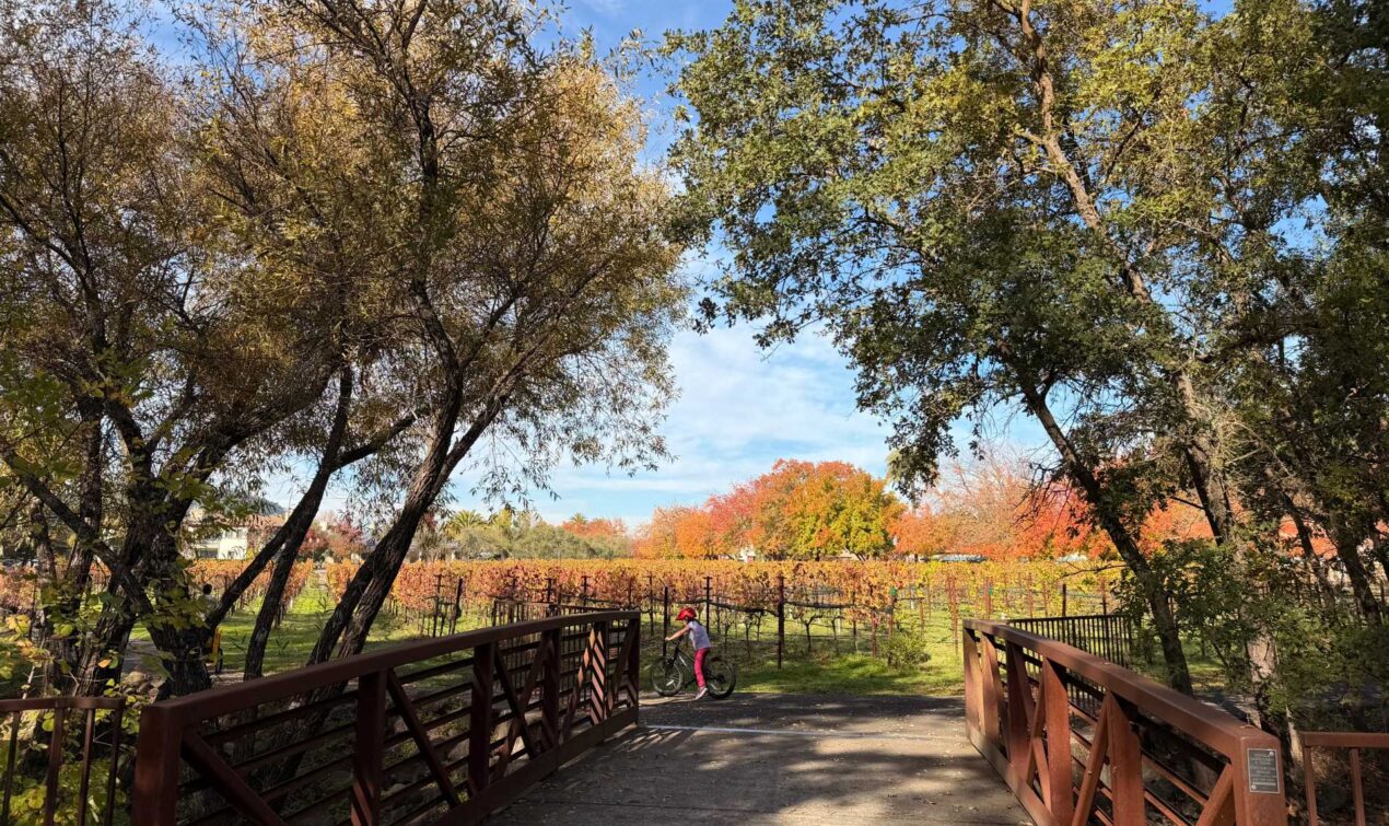 Biking through Napa Valley was one of our favorite family activities — an active, easy way to take in vineyard views, fresh air, and that classic wine-country scenery. The Vine Trail made it kid-friendly and one of our most memorable ways to explore Napa together.