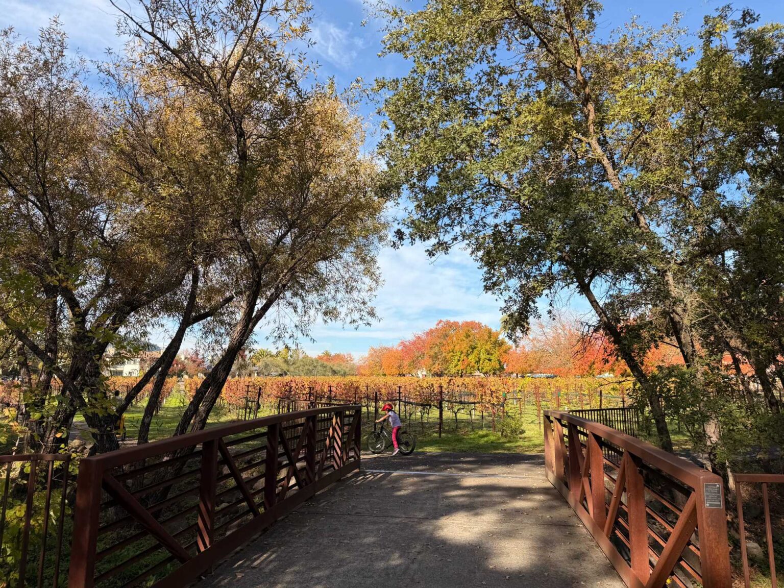 Best Things To Do With Kids in Napa & Sonoma