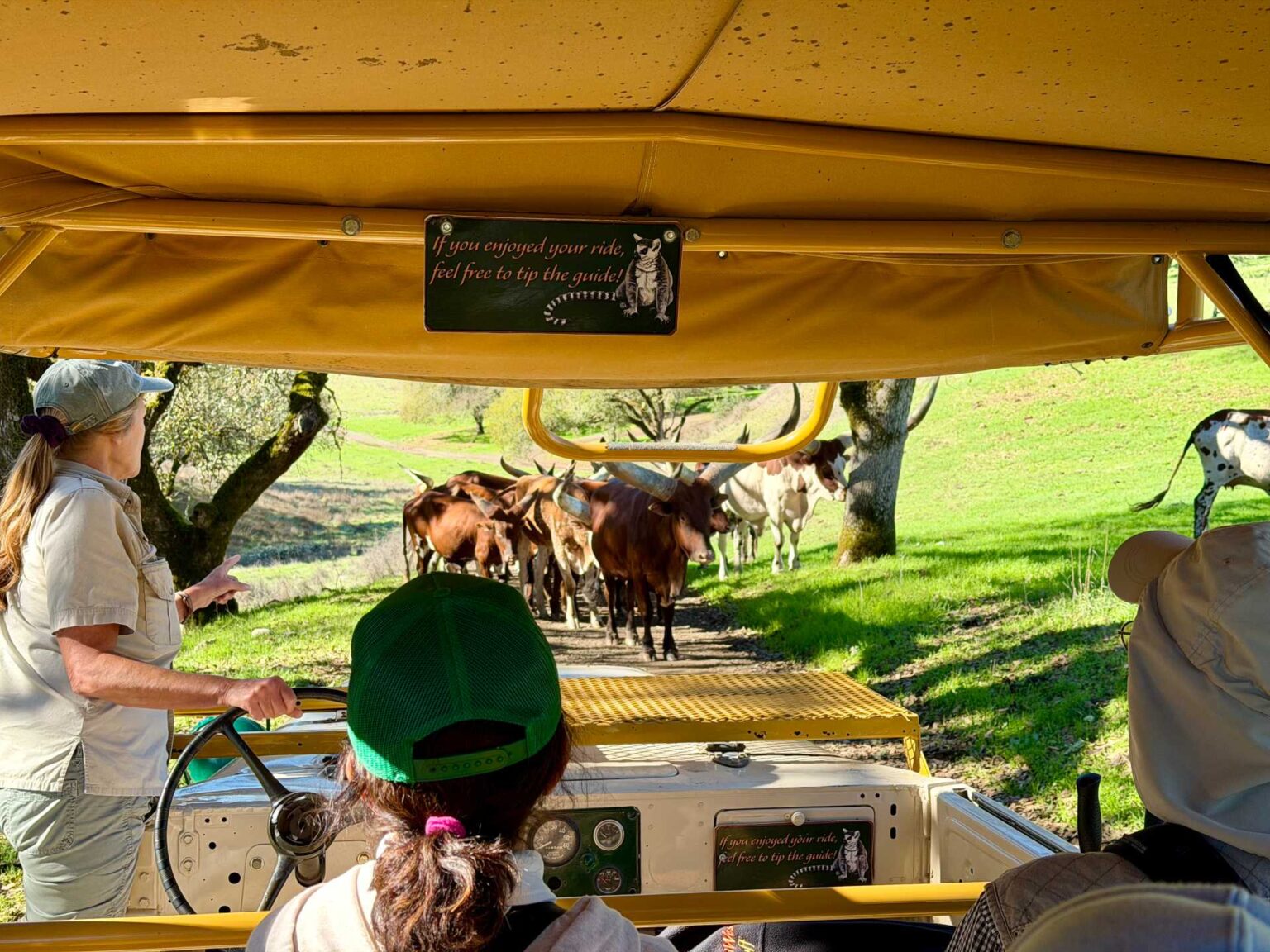 Fun Things to Do in Sonoma County With Kids (Beyond Wine Tasting)