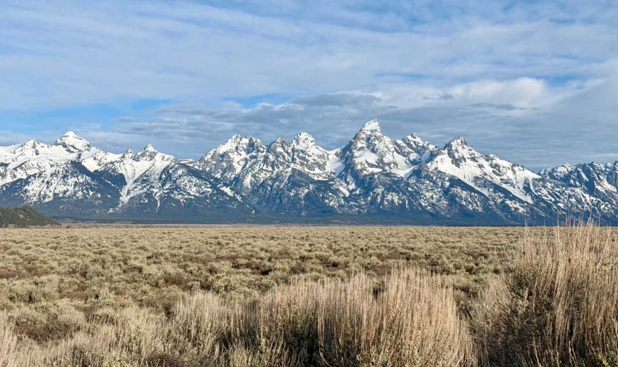 Jackson Hole vs. Yellowstone: Which Should You Visit With Kids?