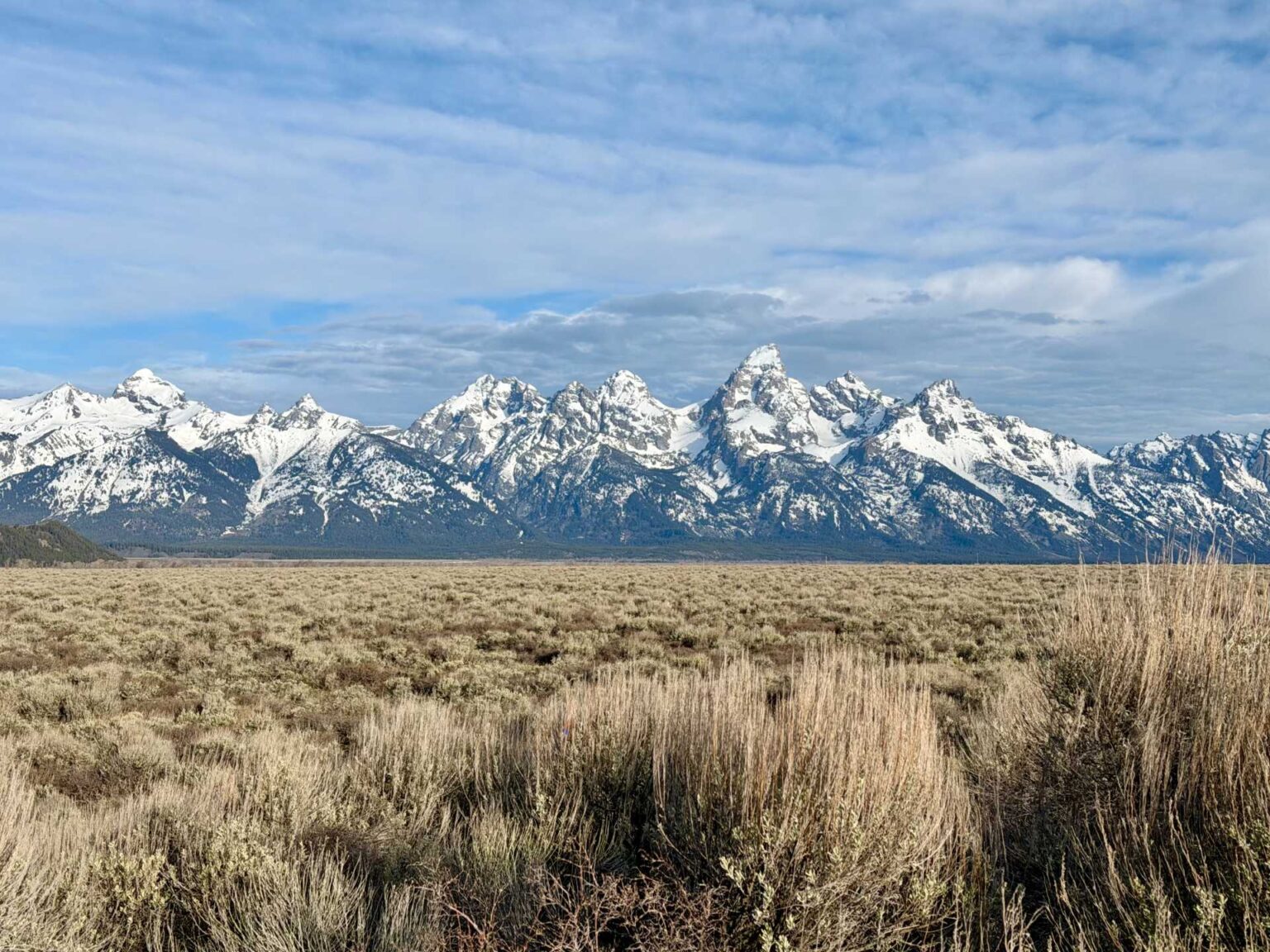 Jackson Hole vs. Yellowstone: Which Should You Visit With Kids?