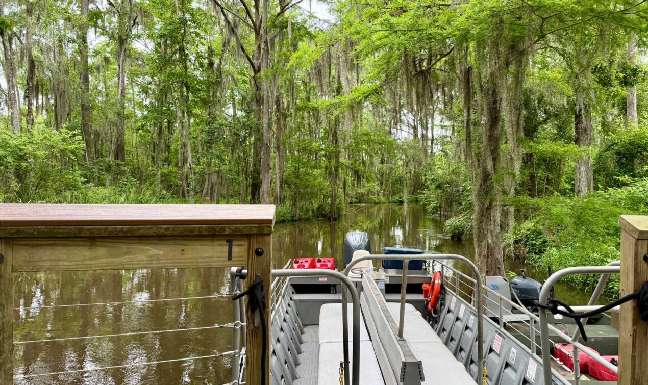 Everything you need to plan a family trip to New Orleans — activities, food, hotels, and honest tips from a mom who went with kids almost 5 and 8.